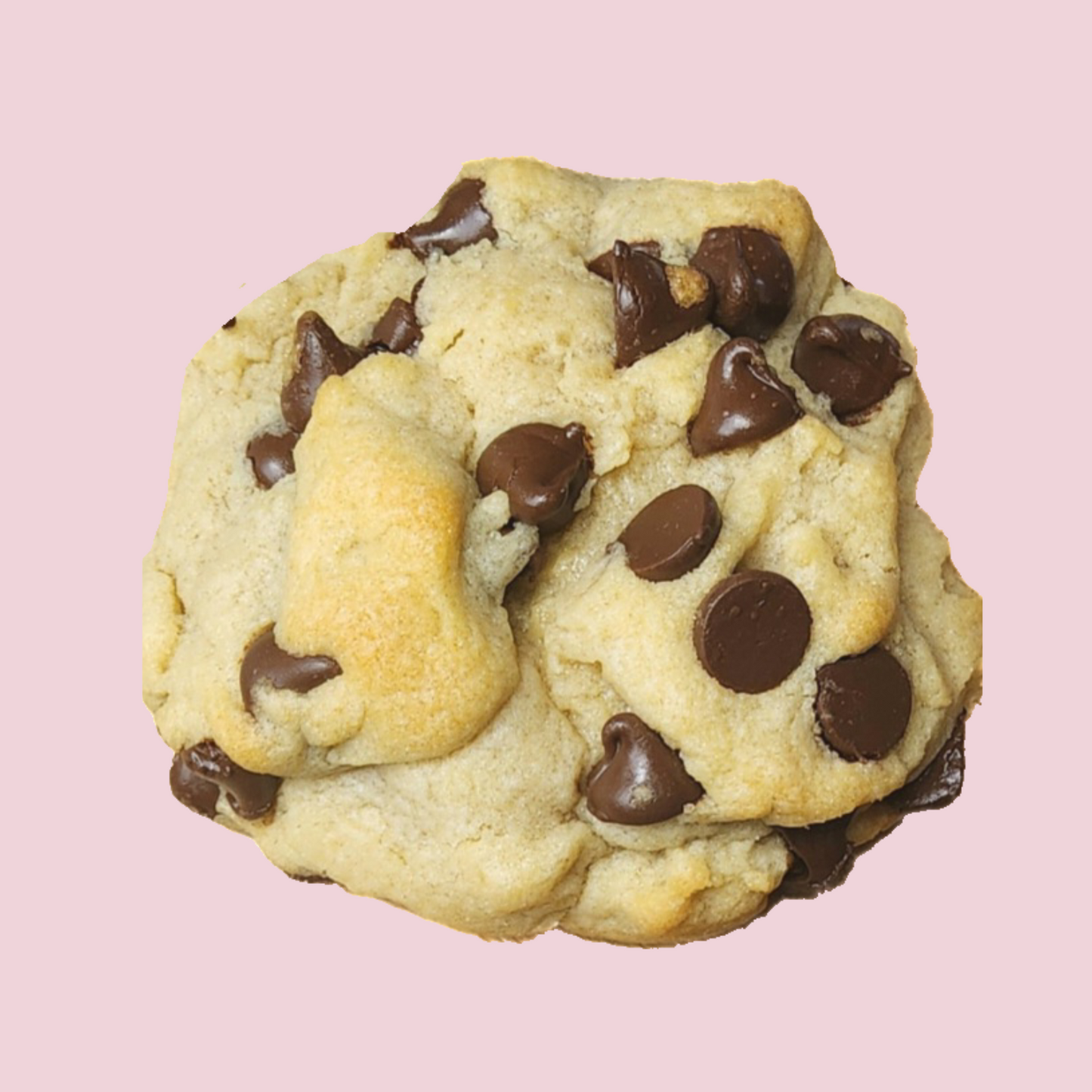 Chocolate Chip Cookie