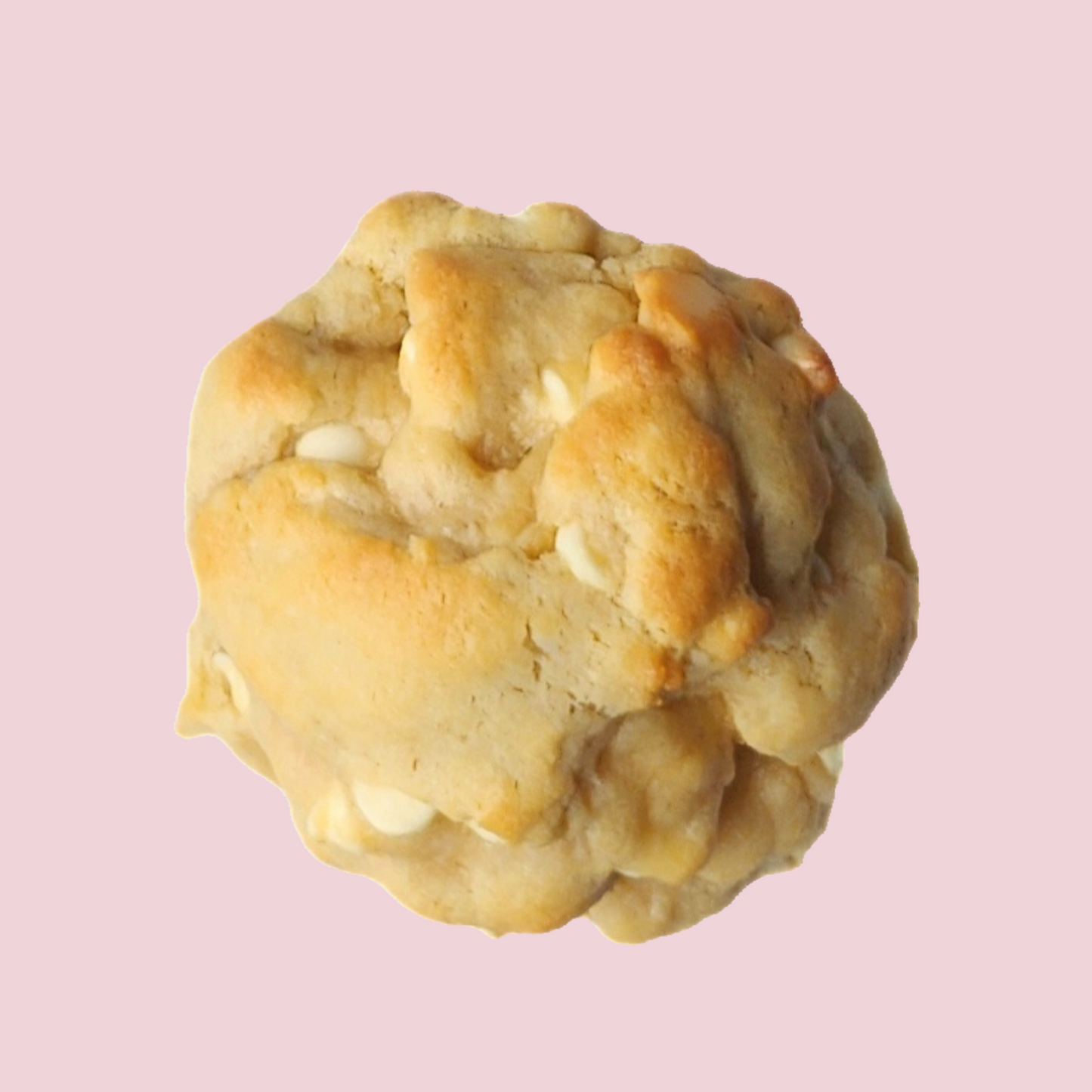 White Chocolate Macadamia Nut Cookie